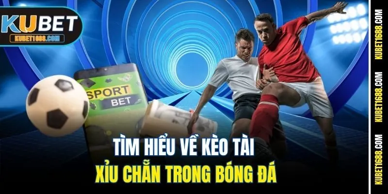 Tìm hiểu về kèo tài xỉu chẵn trong bóng đá